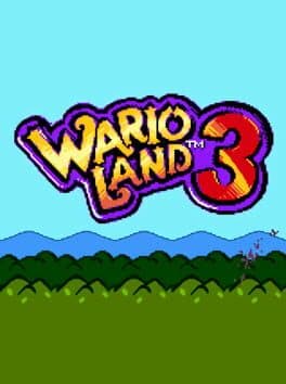 Wario Land 3: The Master Quest