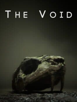 The Void