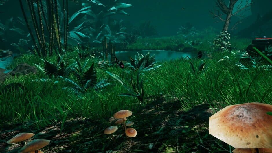 Ekran görüntüsü 1