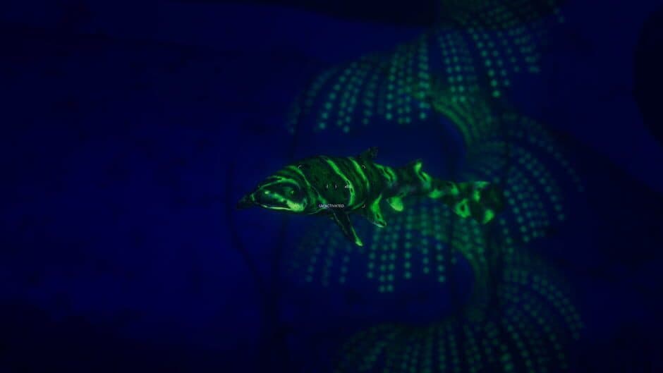 Ekran görüntüsü 3