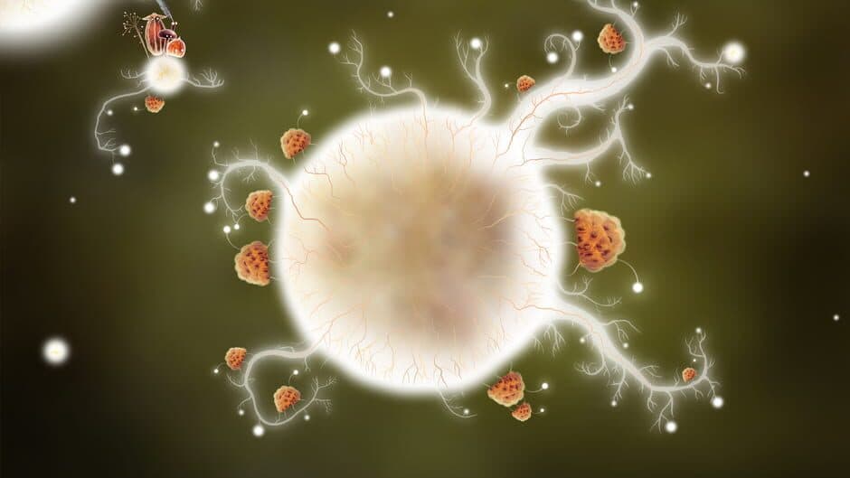 Ekran görüntüsü 2