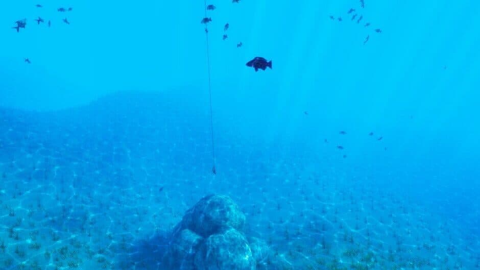 Ekran görüntüsü 2