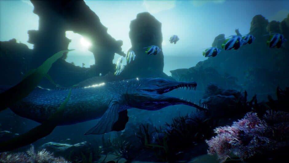 Ekran görüntüsü 13