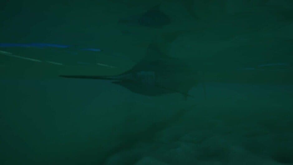 Ekran görüntüsü 9