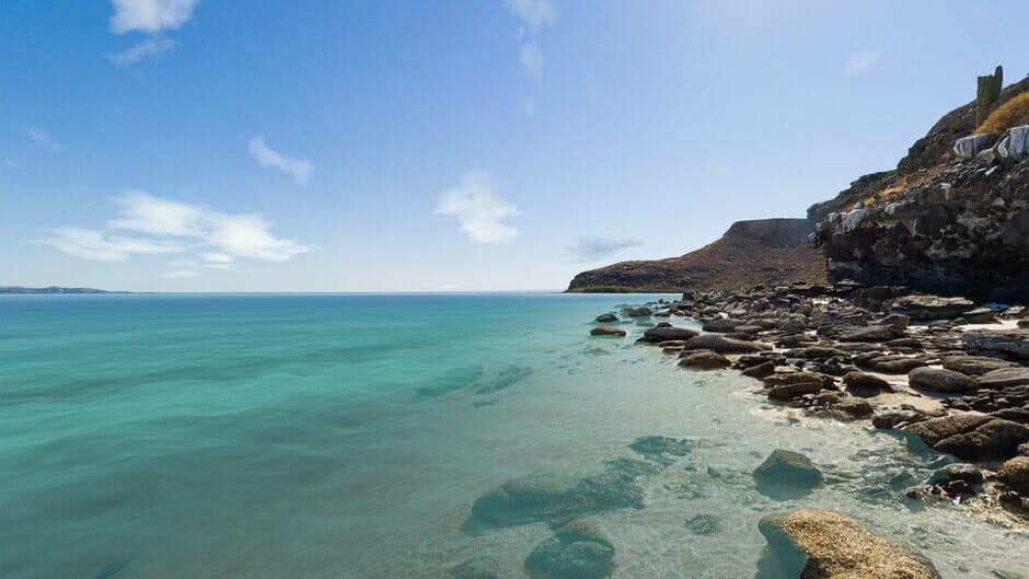 Ekran görüntüsü 3