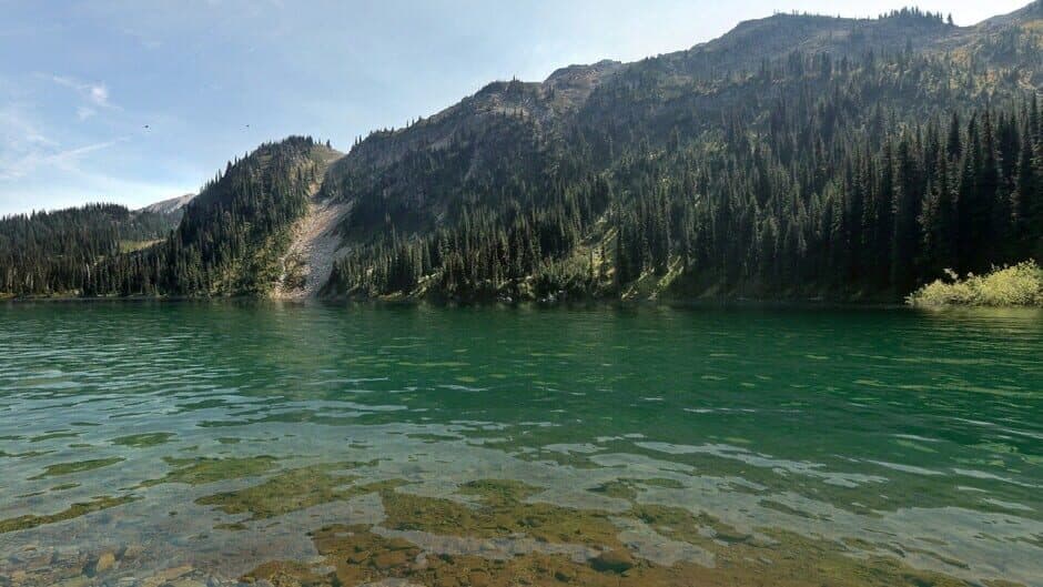 Ekran görüntüsü 4