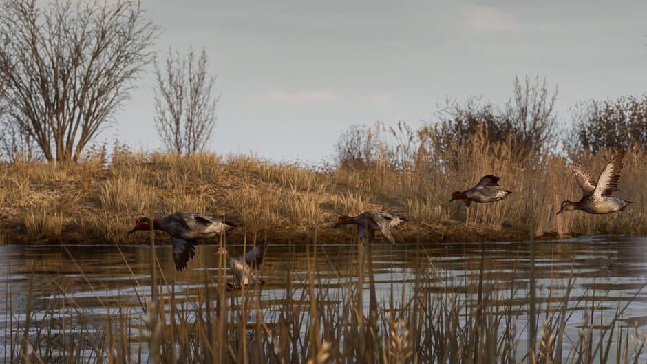 Ekran görüntüsü 1