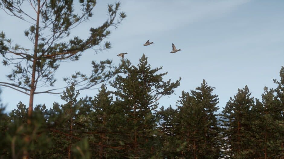 Ekran görüntüsü 3