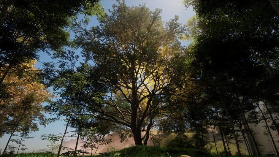 Ekran görüntüsü 6