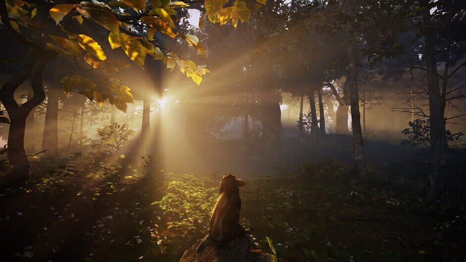 Ekran görüntüsü 1