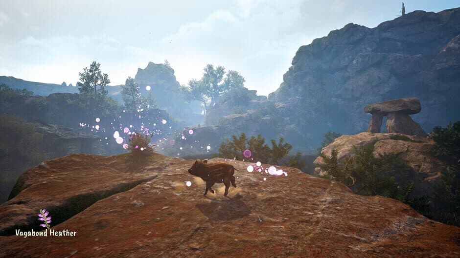 Ekran görüntüsü 9