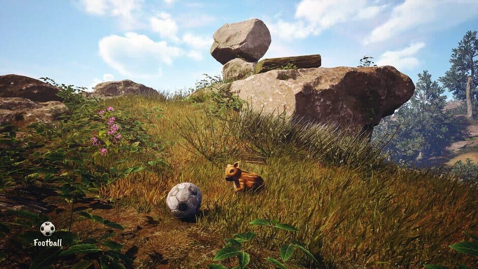 Ekran görüntüsü 5