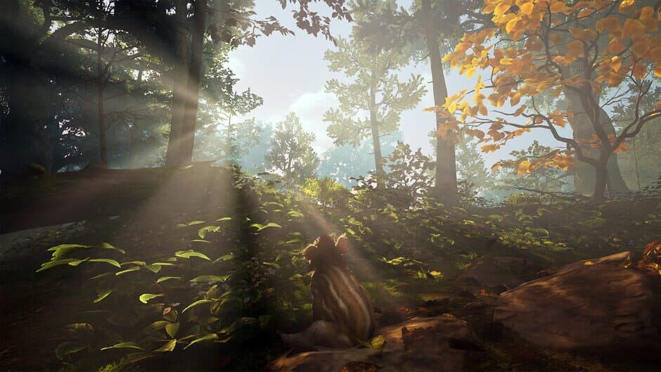 Ekran görüntüsü 7