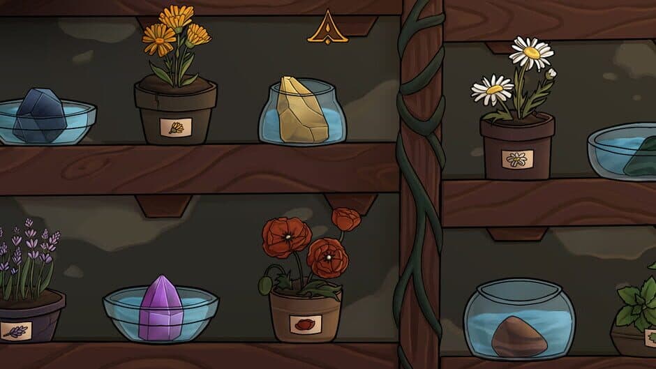 Ekran görüntüsü 5