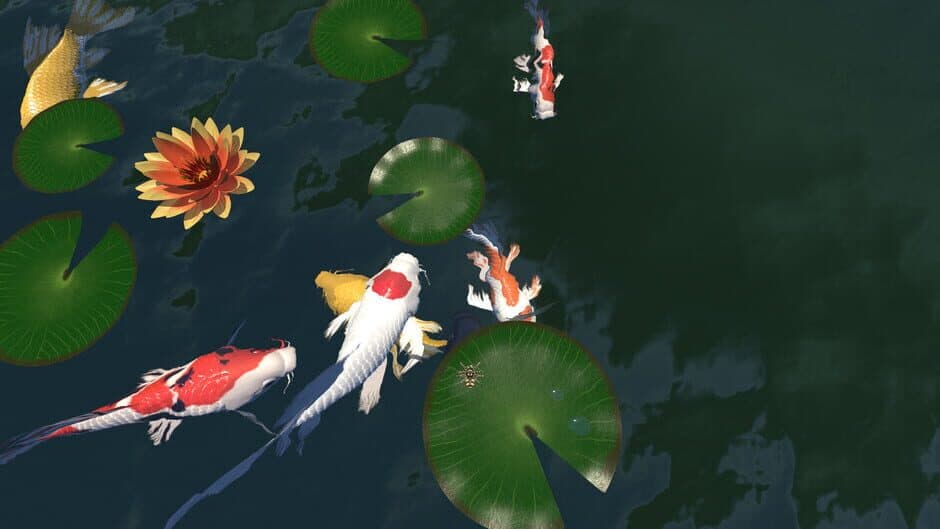 Ekran görüntüsü 6