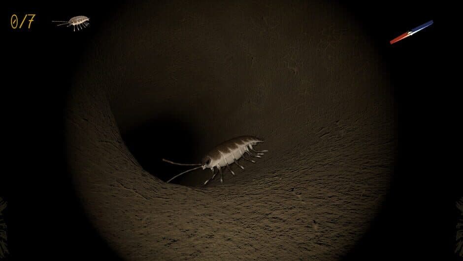 Ekran görüntüsü 10