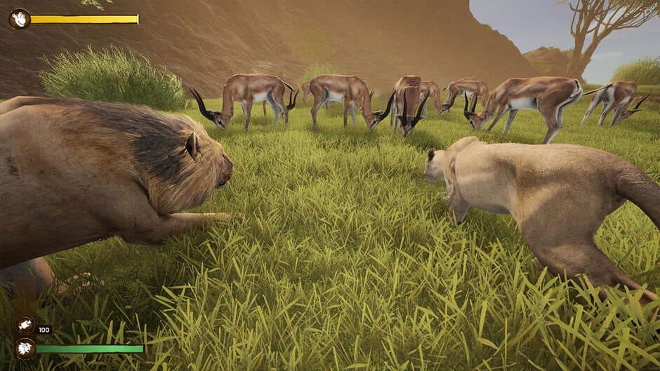 Ekran görüntüsü 5