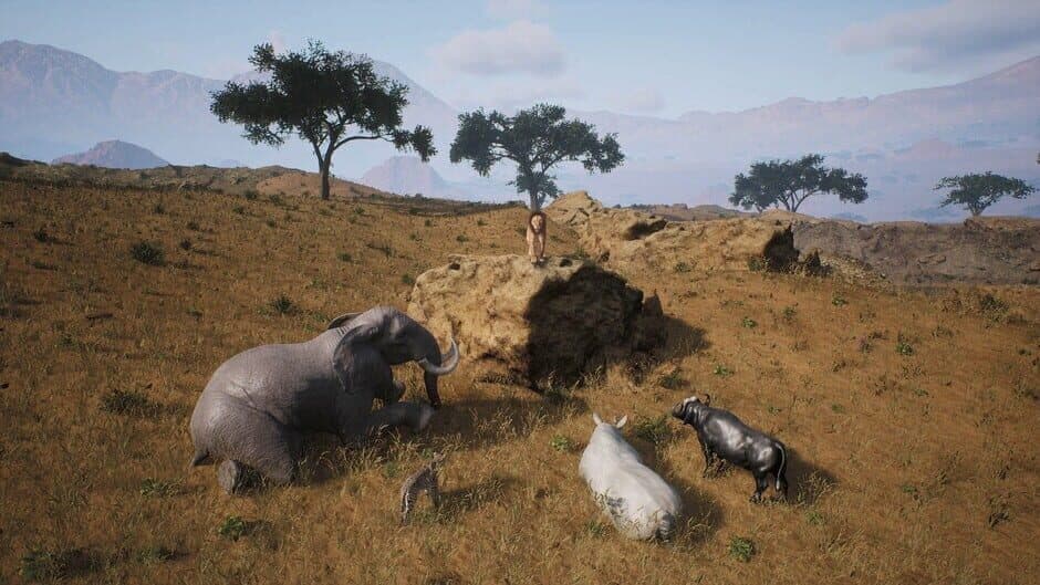 Ekran görüntüsü 3