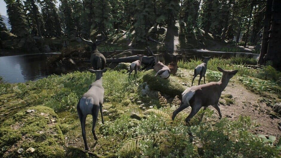 Ekran görüntüsü 11