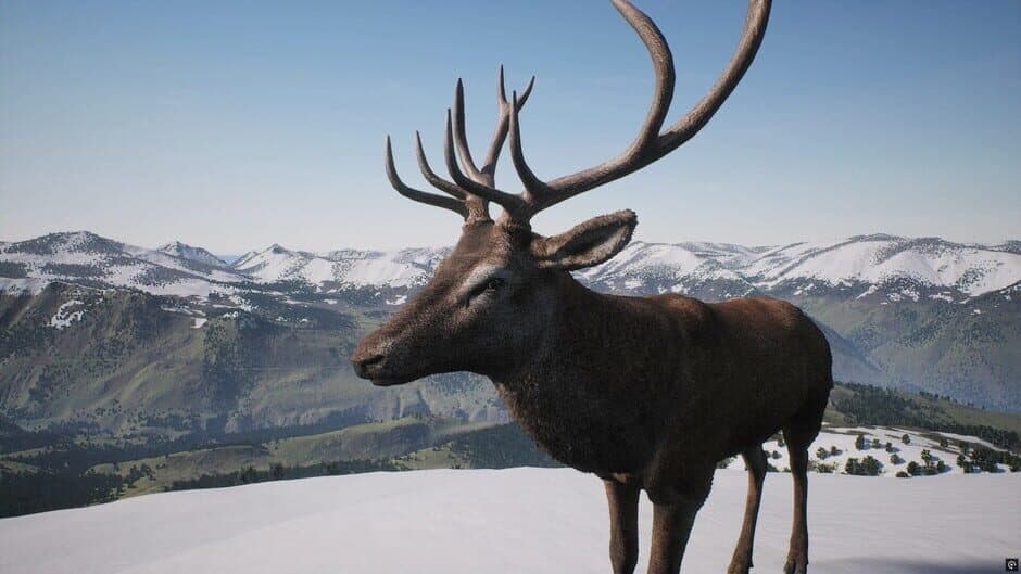 Ekran görüntüsü 8