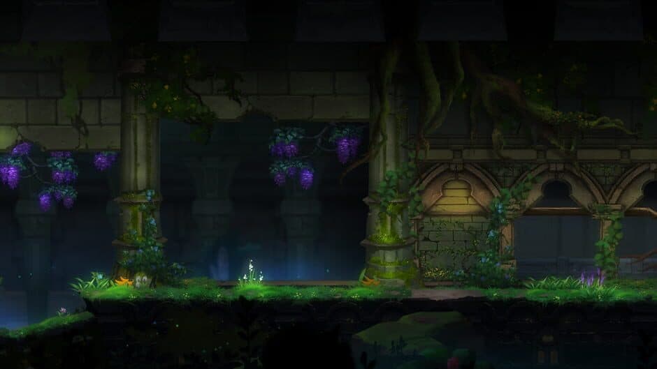 Ekran görüntüsü 5