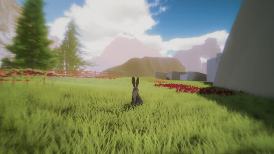 Ekran görüntüsü 4