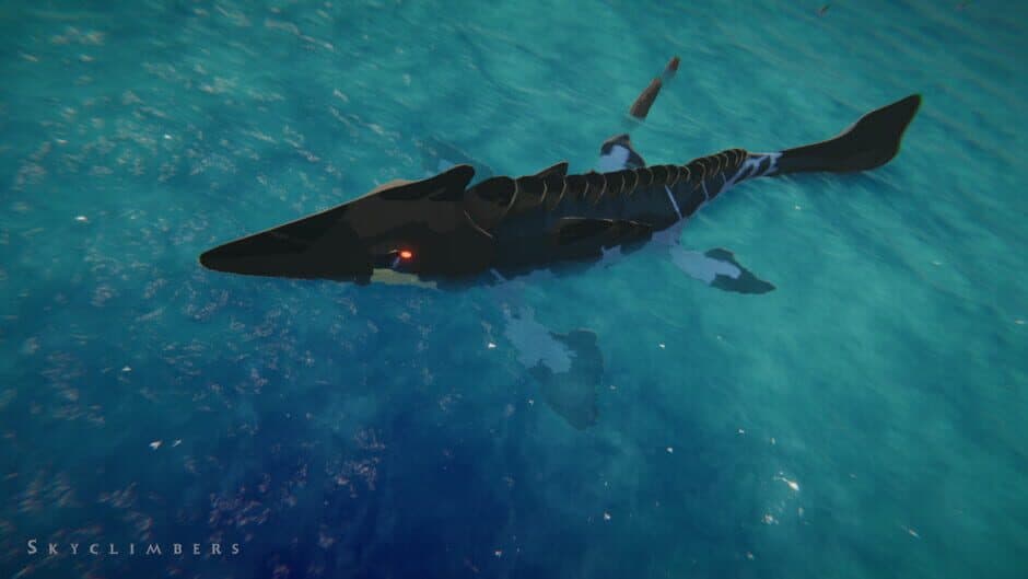 Ekran görüntüsü 10