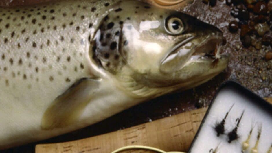 Ekran görüntüsü 2