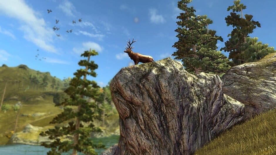 Ekran görüntüsü 5