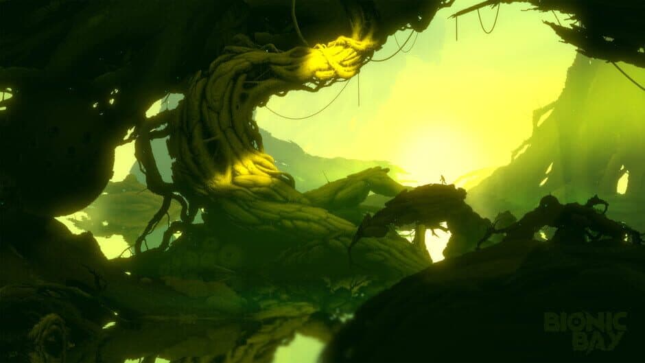 Ekran görüntüsü 1