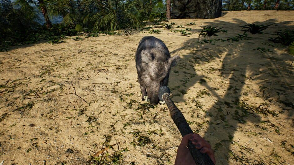 Ekran görüntüsü 3