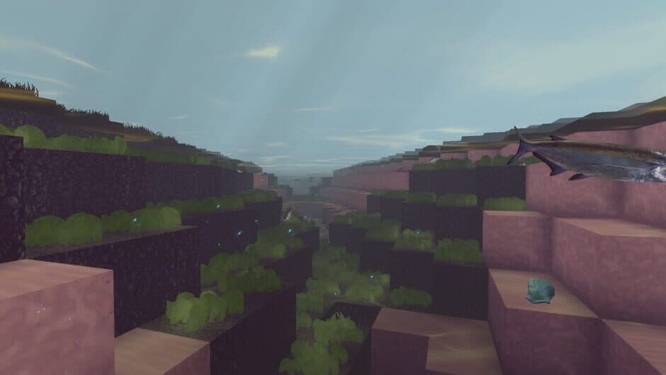 Ekran görüntüsü 5