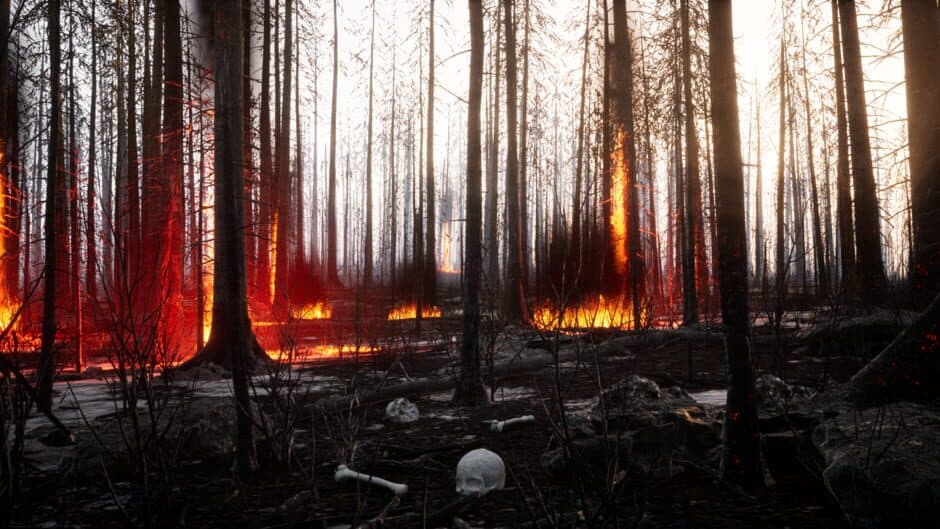 Ekran görüntüsü 1