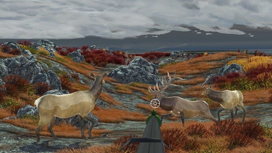 Ekran görüntüsü 11