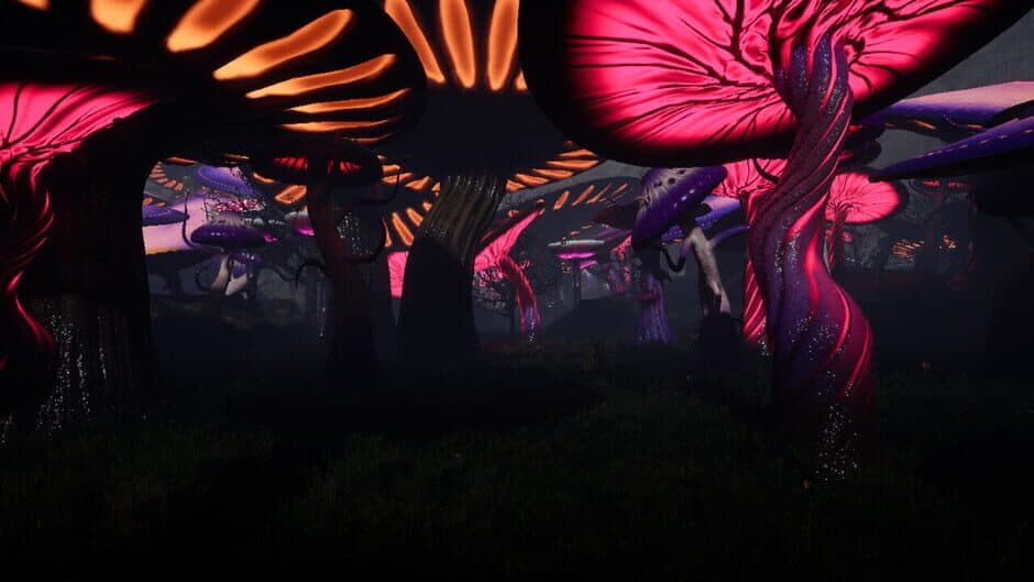 Ekran görüntüsü 4