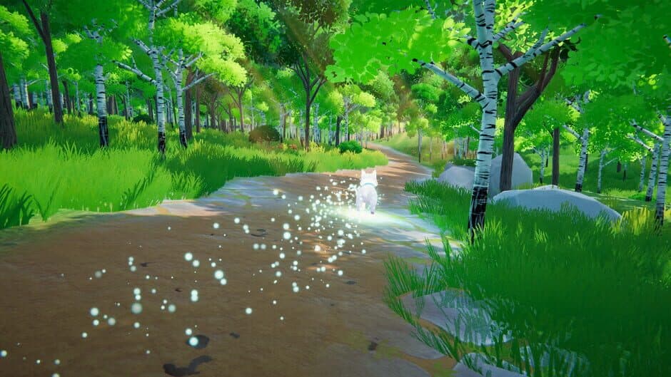 Ekran görüntüsü 8