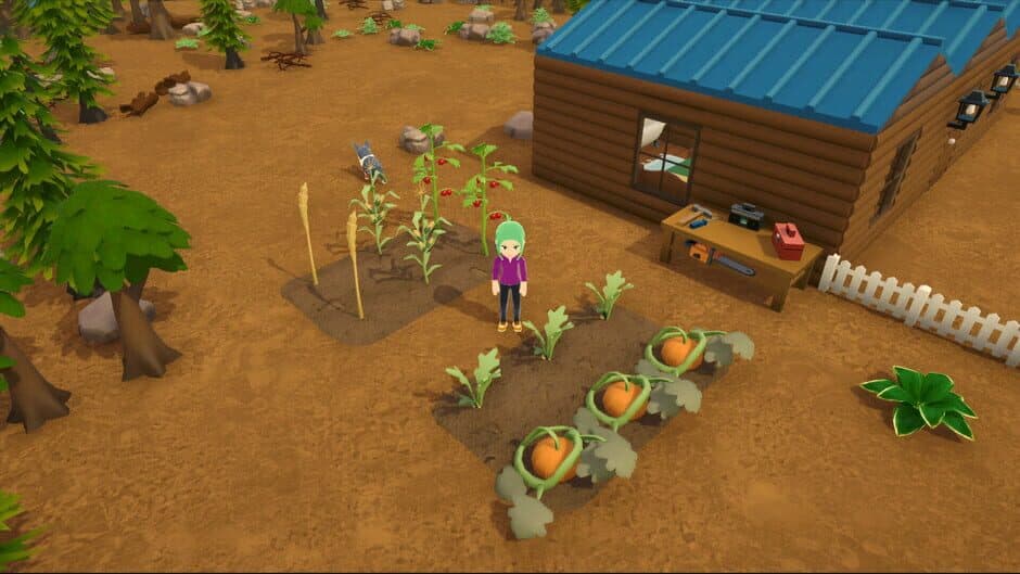 Ekran görüntüsü 3