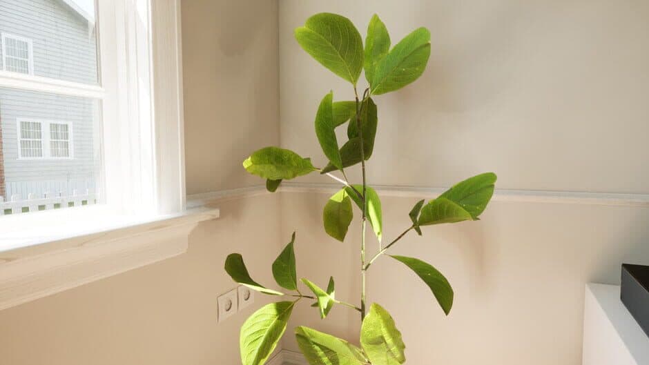 Ekran görüntüsü 7