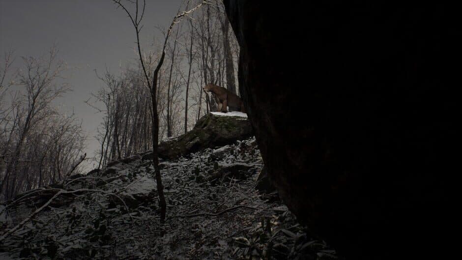 Ekran görüntüsü 4