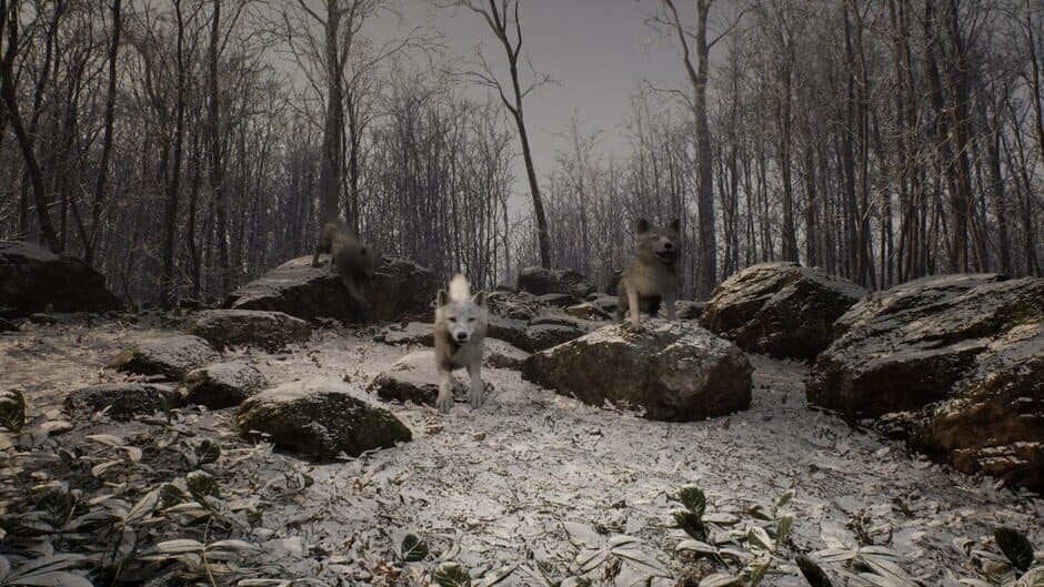 Ekran görüntüsü 5