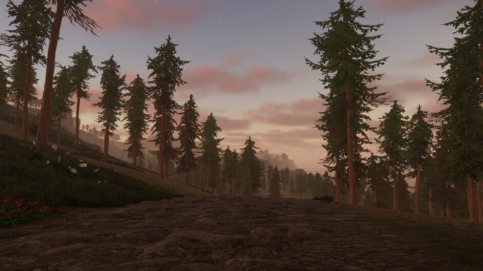 Ekran görüntüsü 4