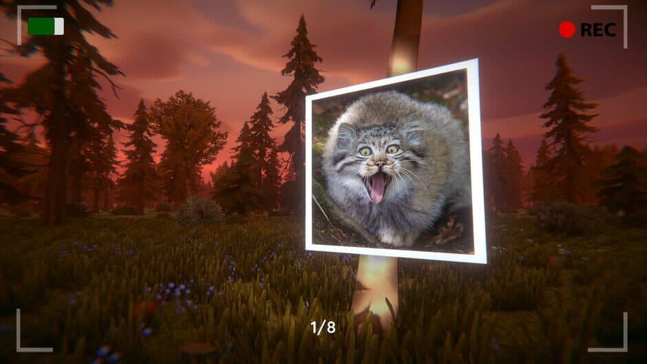 Ekran görüntüsü 5