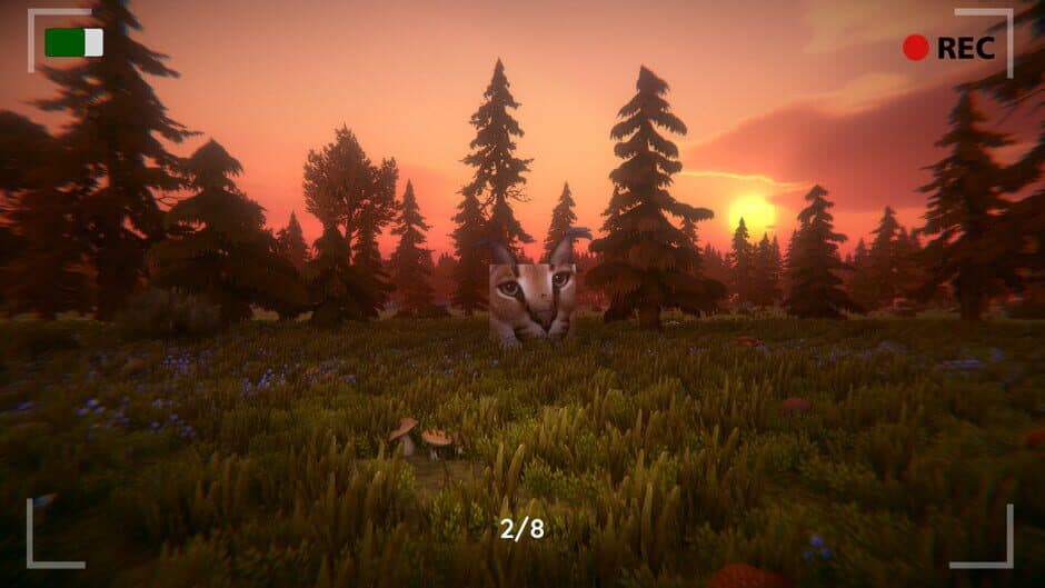 Ekran görüntüsü 12