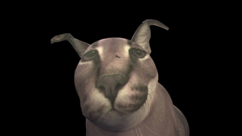 Ekran görüntüsü 7