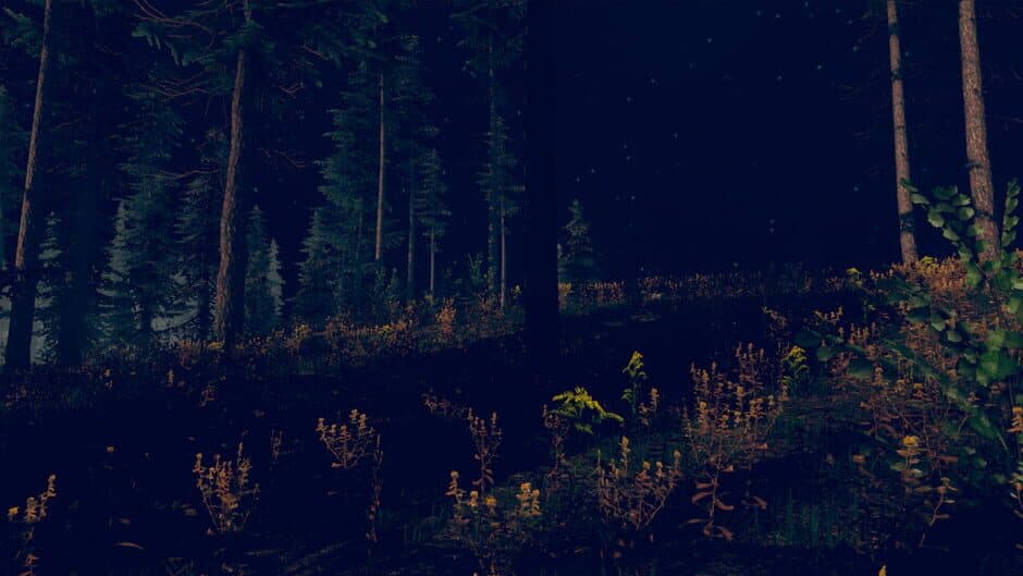 Ekran görüntüsü 2