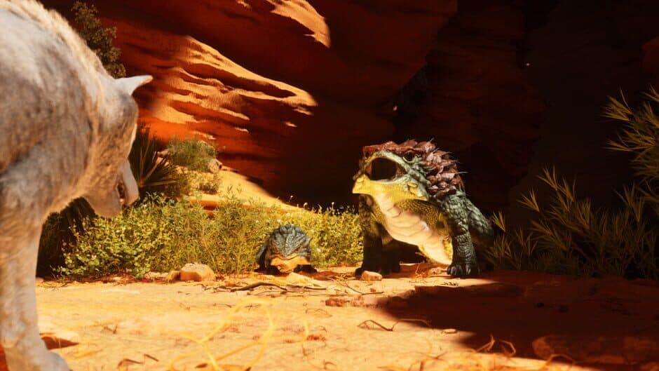 Ekran görüntüsü 10