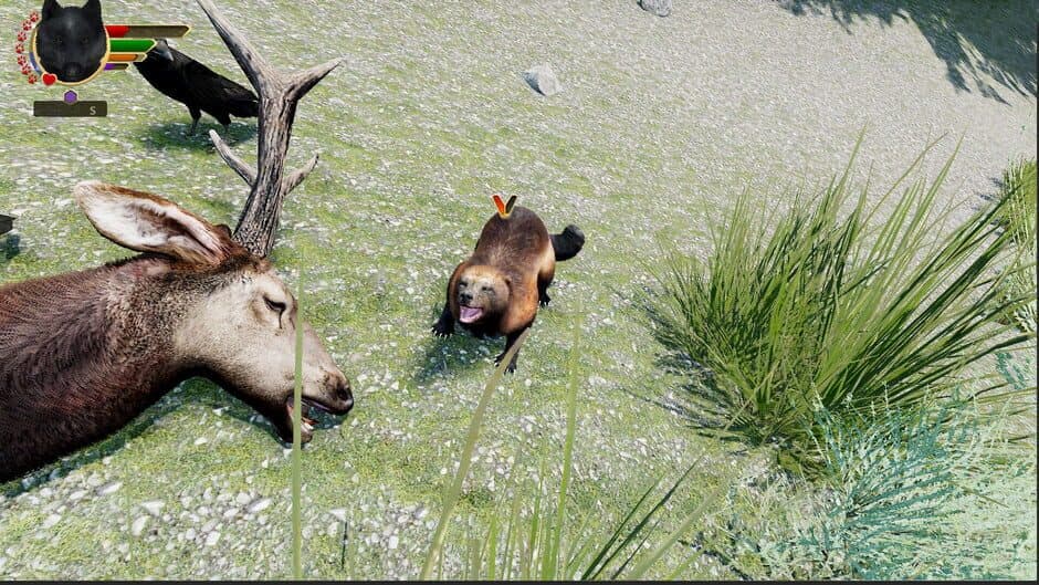 Ekran görüntüsü 14