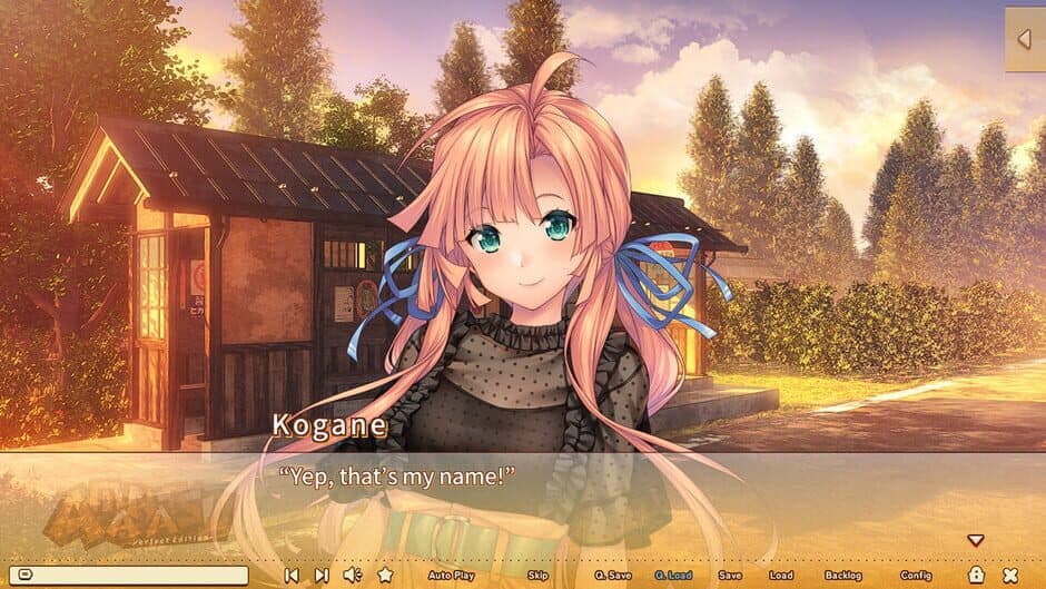 Ekran görüntüsü 14