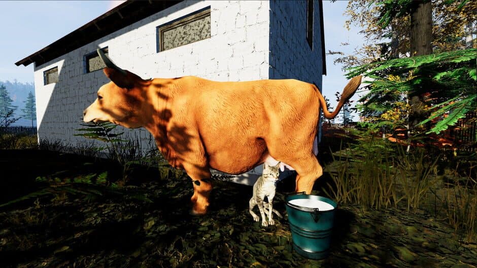 Ekran görüntüsü 5