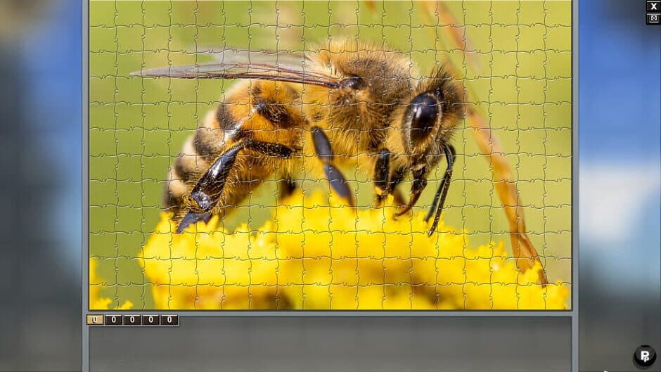 Ekran görüntüsü 1